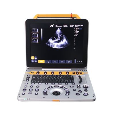 15 inch P60V draagbaar veterinair kleurendoppler-echografiesysteem voor kleine dierenklinieken