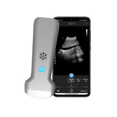 kopen 179 mm draadloze draagbare convexe echografiescanner | GPU-beeldverwerking | CE-gecertificeerde draagbare WiFi-echografiesonde online manufacture