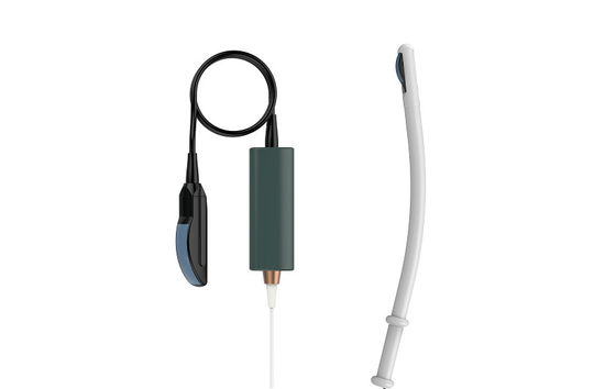 kopen Handbediende de Ultrasone klank Veterinaire Machine 3.5MHz 80mm van de kromme Lineaire Rectale Sonde online manufacture