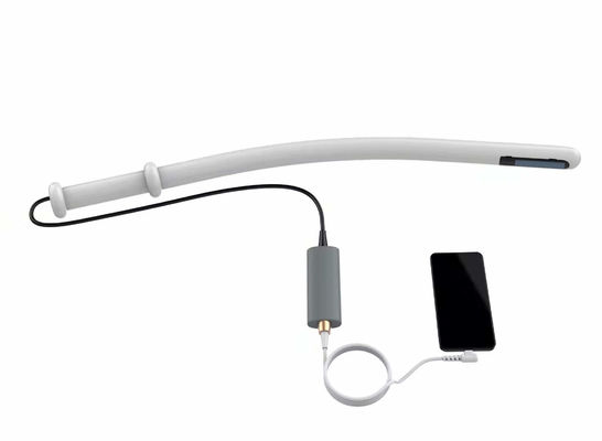 kopen Veterinaire Runder de Ultrasone klankmachine 4.0MHz 6.0MHz 8.0MHz van het Ultrasone klanksysteem online manufacture