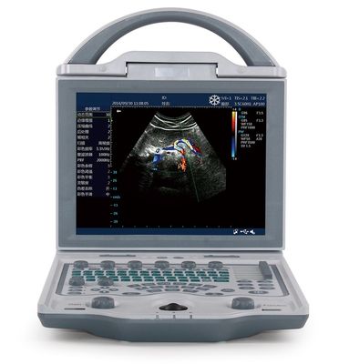 kopen 10.4 van de“ LEIDENE Draagbare de Ultrasone klankmachine Vertonings Veterinaire Ultrasone klank voor Varkens 4.5KG online manufacture