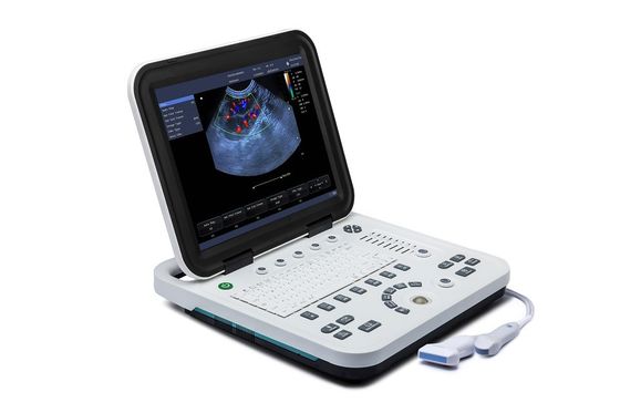 kopen 15“ LCD van de de Ultrasone klankmachine van de Vertonings het Draagbare Dierenarts Veterinaire Gebruik online manufacture