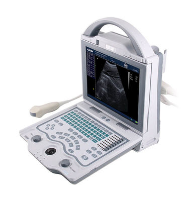 kopen 10.4“ LEIDENE Vertonings Draagbare Laptop Veterinaire Ultrasone klankmachine 256 Kaders online manufacture