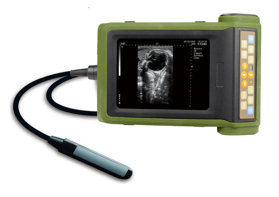 kopen Draagbare Ultraklankmachine voor vee voor de diagnose van zwangerschap en folliculaire aspiratie online manufacture