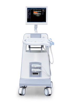 kopen Van de het Karretjekleur van het ingangsniveau de Ultrasone klank Ultrasoon Kenmerkend Instrument 500GB van Doppler online manufacture