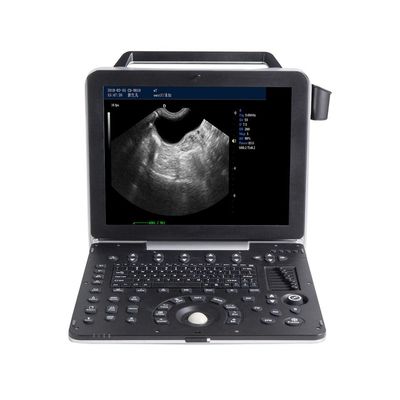 kopen 15“ LCD Draagbare Veterinaire Ultrasone klankmachine 2D Gray Scale Imaging online manufacture