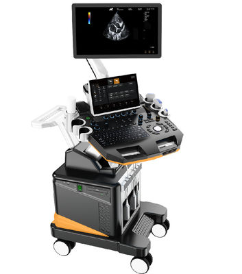 kopen 3D/4D kleurendoppler veterinaire echografiemachine Professioneel beeldvormingssysteem voor kleine dieren met 21,5'' LCD-scherm online manufacture
