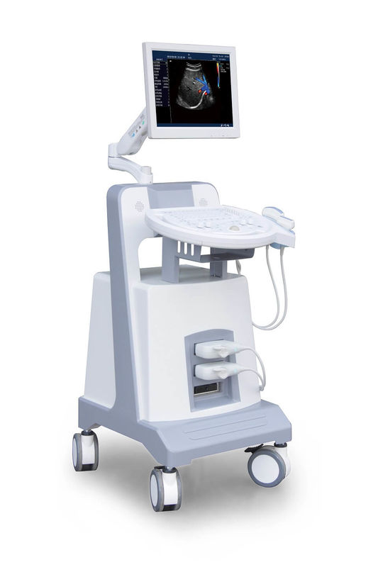 Van de het Karretjekleur van het ingangsniveau de Ultrasone klank Ultrasoon Kenmerkend Instrument 500GB van Doppler
