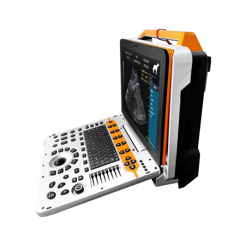 15 inch P60V draagbaar veterinair kleurendoppler-echografiesysteem voor kleine dierenklinieken
